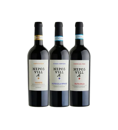 Confezione da tre bottiglie "Valpolicella"