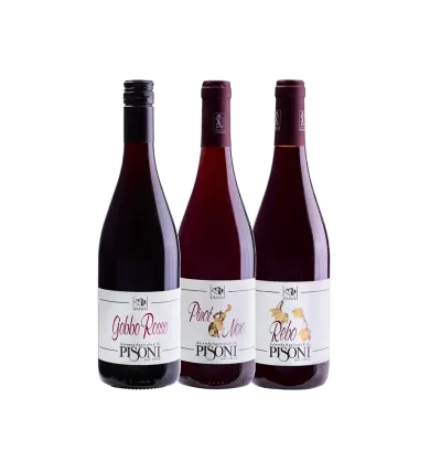 Confezione da tre bottiglie “Rossi trentini”