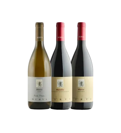 Confezione da tre bottiglie “Non solo bianchi!”