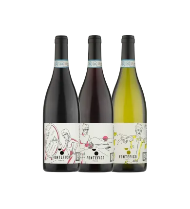 Vinæske med 3 flasker Abruzzo classics 