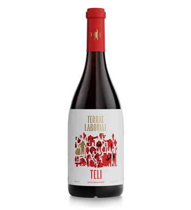 Camaiola "Teli" Terrae Laboriae