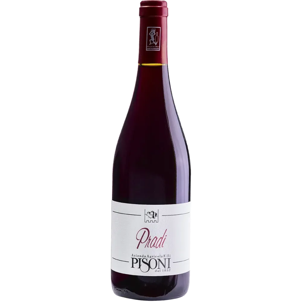 Teroldego__Pradi__Cantina_Pisoni_