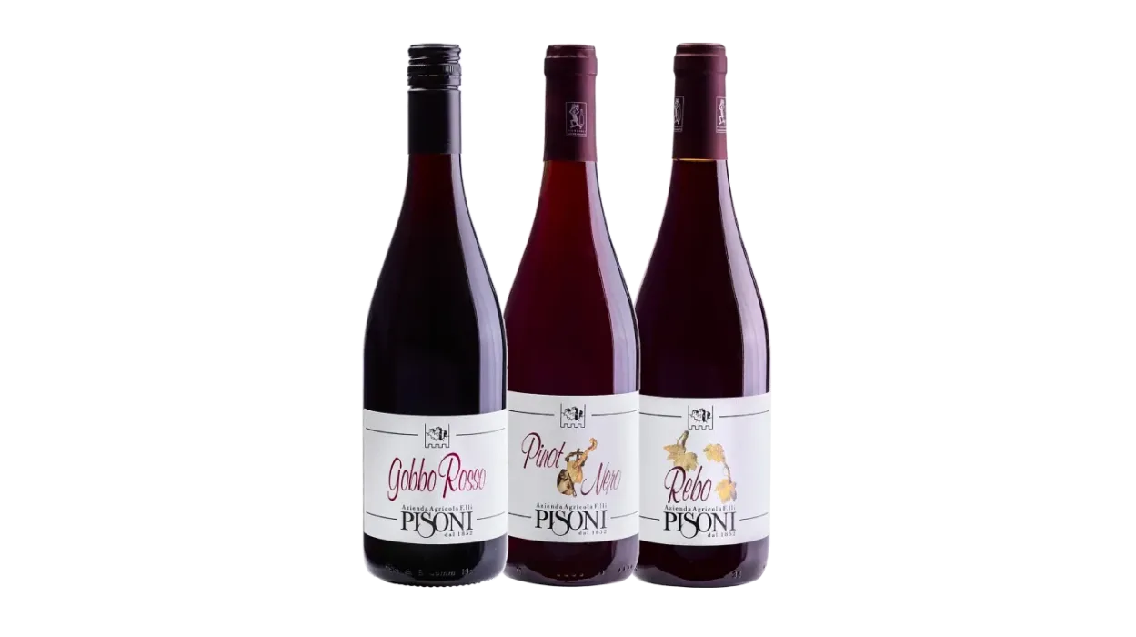 Confezione da tre bottiglie “Rossi trentini”