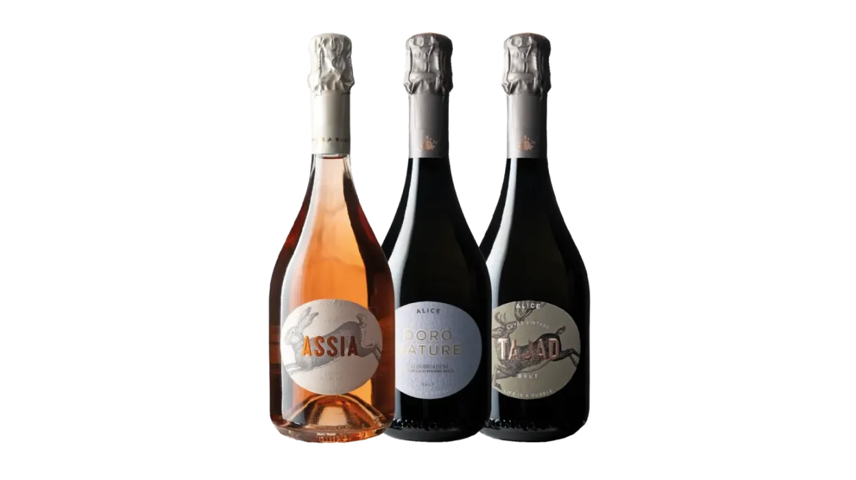 Vinæske med 3 flasker  Le Vigne di Alice