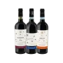 Three bottle pack “Monferrato vines”