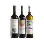 Three bottle pack “Bolgheri colours”
